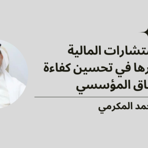 الاستشارات المالية ودورها في تحسين كفاءة الإنفاق المؤسسي
